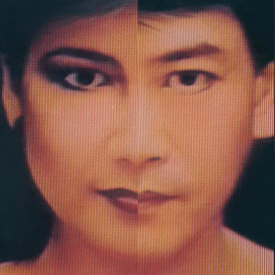 Tie Xue Dan Xin 鐵血丹心
